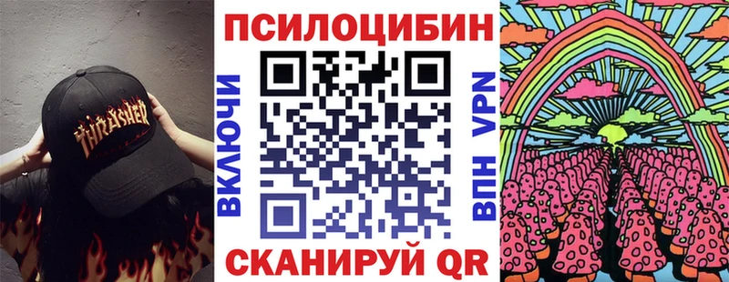 Псилоцибиновые грибы Psilocybe Ликино-Дулёво